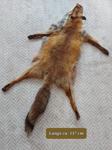 Winterfuchsfelle