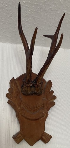 Rehgehörn geweih auf - geweih,