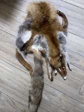 1 Fuchs Echtes Fuchsfell Pelz