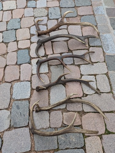 Abwurfstangen gewicht - 6,