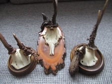 3 Verschiedene Abnorme