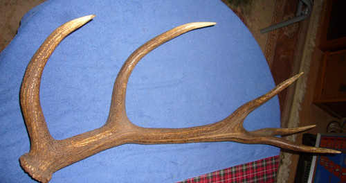 Abwurfstange 4kg lang 98cm - 3,4kg,