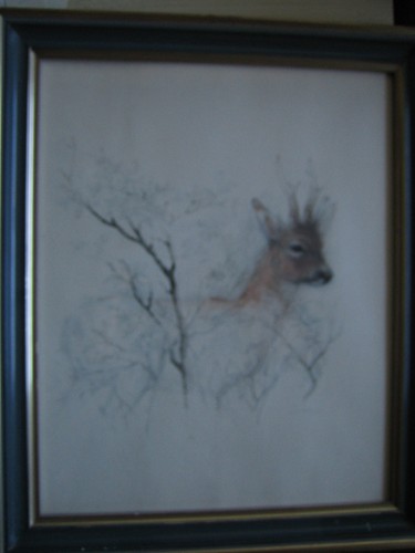 Altes bild rehbock jagd - altes, -jagd