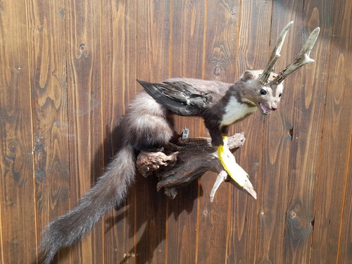 Wolpertinger fabelwesen - wolpertinger,