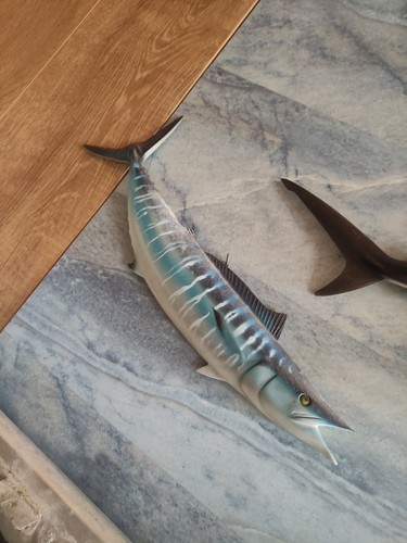 Fischattrappe deko fisch - /, deko-fisch