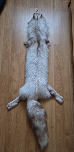 Smokey snow glow fuchs - smokey,
