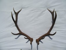 Starke Abwurfstange Paar