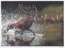 Kunstbeilage - Jagdliche