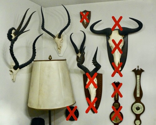 Trophäe sammlung geweih - trophäe,