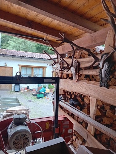 Konvolut geweihe - ,