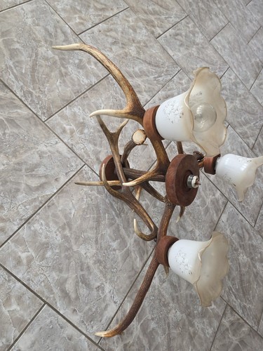 Geweih lampe geweihlampe - geweih,