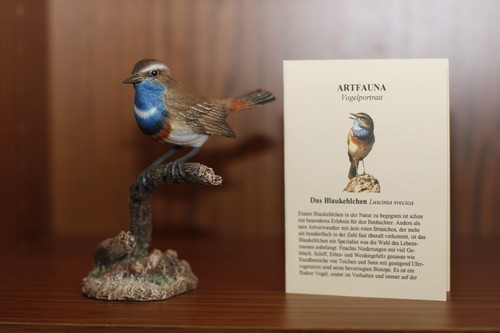 Artfauna vogel - artfauna,