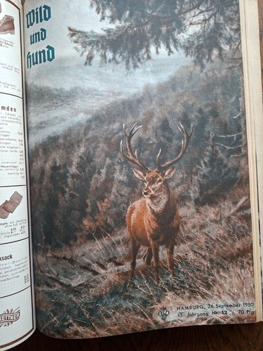 Wild und hund 1950 - hund,, 1950/51