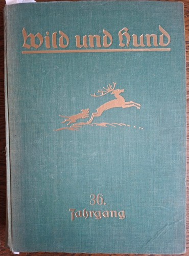 Wild und hund - wild,
