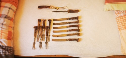 Gebrauchtes hirschhorn - gebrauchtes,
