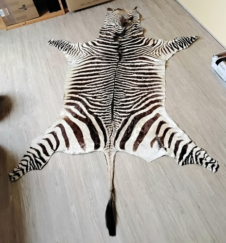 Hartmann bergzebra fell - hartmann, von