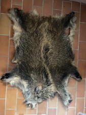 Wildschwein Fell
